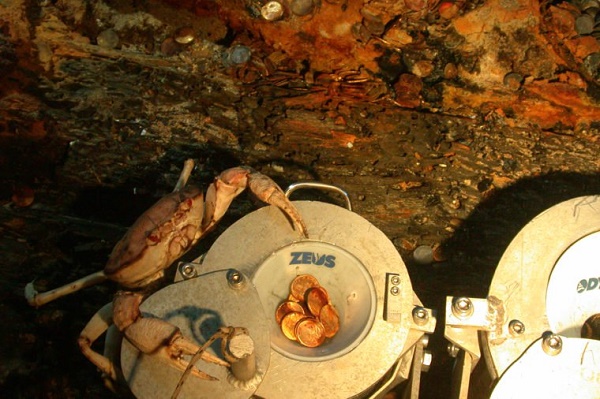 ۱۳ مورد از حیرت انگیزترین گنجینه های کشف شده زیر آب