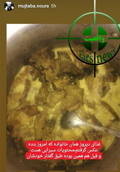 ماجرای خوردن گربه در جنوب ایران چیست؟ +عکس