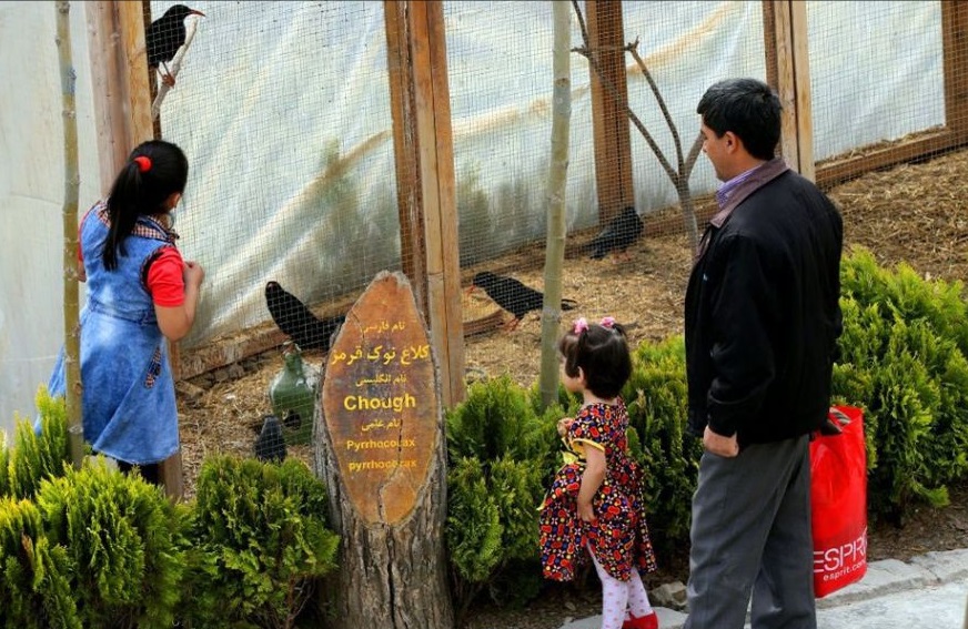گردش در بزرگ ترین باغ پرندگان ایران