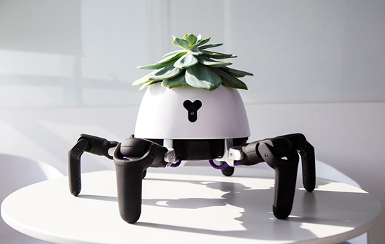 این ربات می‌تواند جان گیاهان شما را نجات دهد+عکس