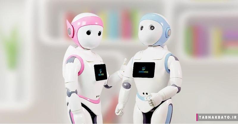 ربات های برادر در چین برای حل مشکل تک فرزندها