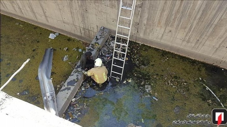 سقوط پژو ۲۰۶ به داخل کانال آب در بزرگراه باکری +تصاویر