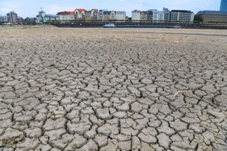 موج گرما در اروپا رود راین را خشکاند +تصاویر