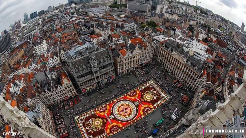 فرش گل بزرگ در بروکسل