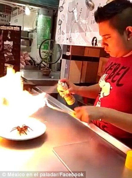 سرو عنکبوت زنده در رستوران مکزیکی +تصاویر