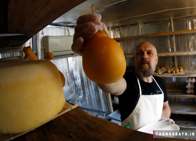 تبدیل خانه زوج روسی به کارگاه تولید پنیر