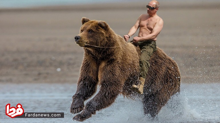خرس سواری پوتین+عکس