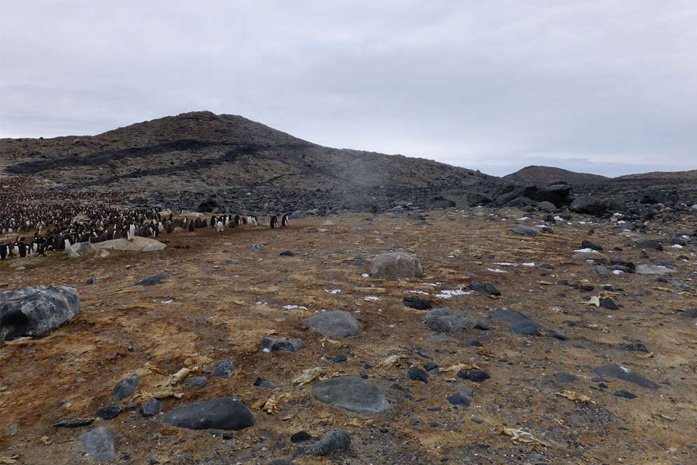 کشف گور دسته‌جمعی پنگوئن‌های مومیایی‌شده +عکس