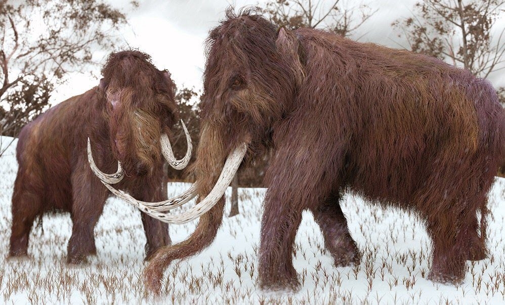 دلیل انقراض بزرگترین حیوان عصر یخبندان + تصاویر