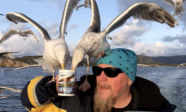 حمله مرغان دریایی برای نوشیدن چای کاپیتان +تصاویر
