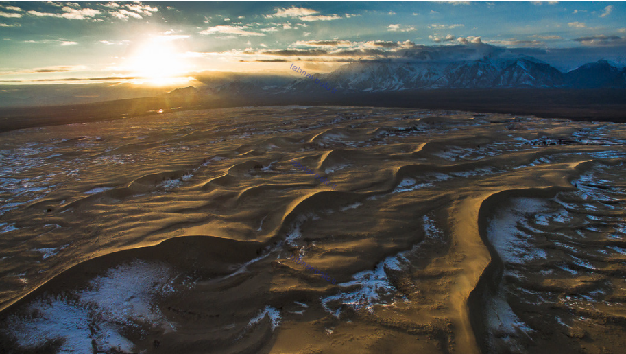 بیابان طلایی وسط کوه های پر برف سیبری
