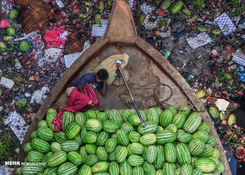 شکار زیبای عکاس از لنج هندوانه+عکس
