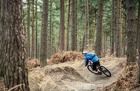 تصاویری مهیج از دوچرخه سواری در جنگل