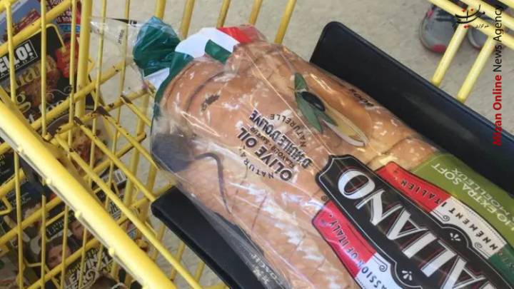 موش زنده در یک بسته نان در فروشگاه +عکس