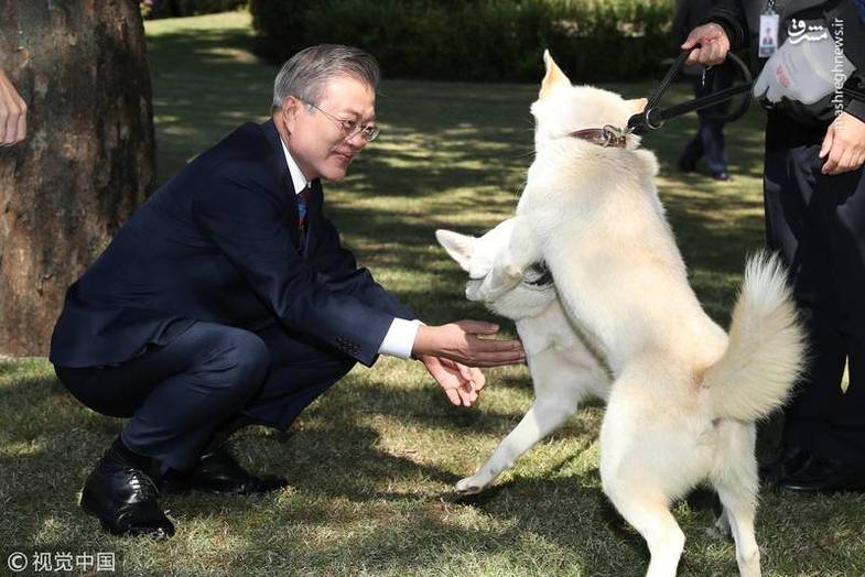 هدیه رهبر کره شمالی به رئیس جمهور کره جنوبی +عکس