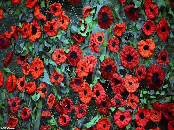 هزاران گل تریکو برای بزرگداشت قربانیان جنگ جهانی اول