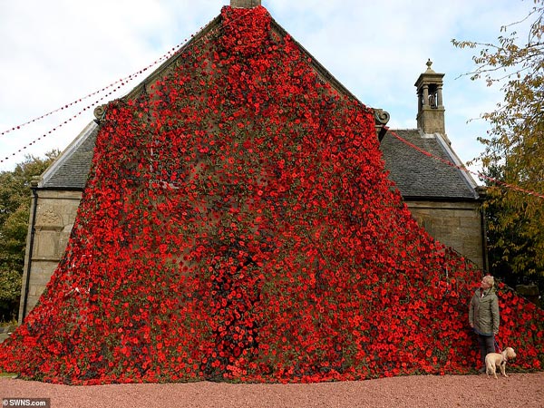 هزاران گل تریکو برای بزرگداشت قربانیان جنگ جهانی اول