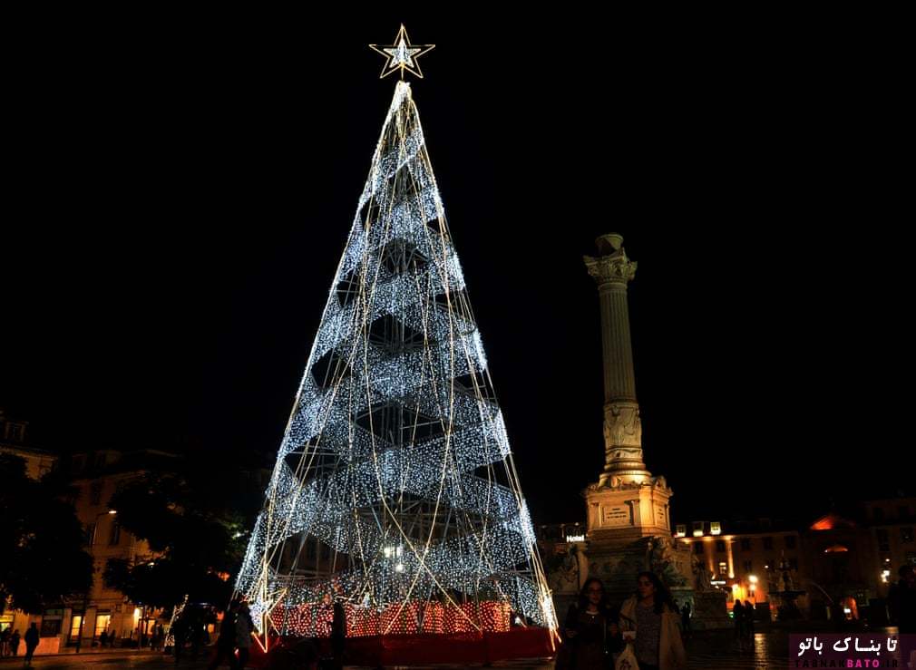 درختان کریسمس در اقصی نقاط جهان