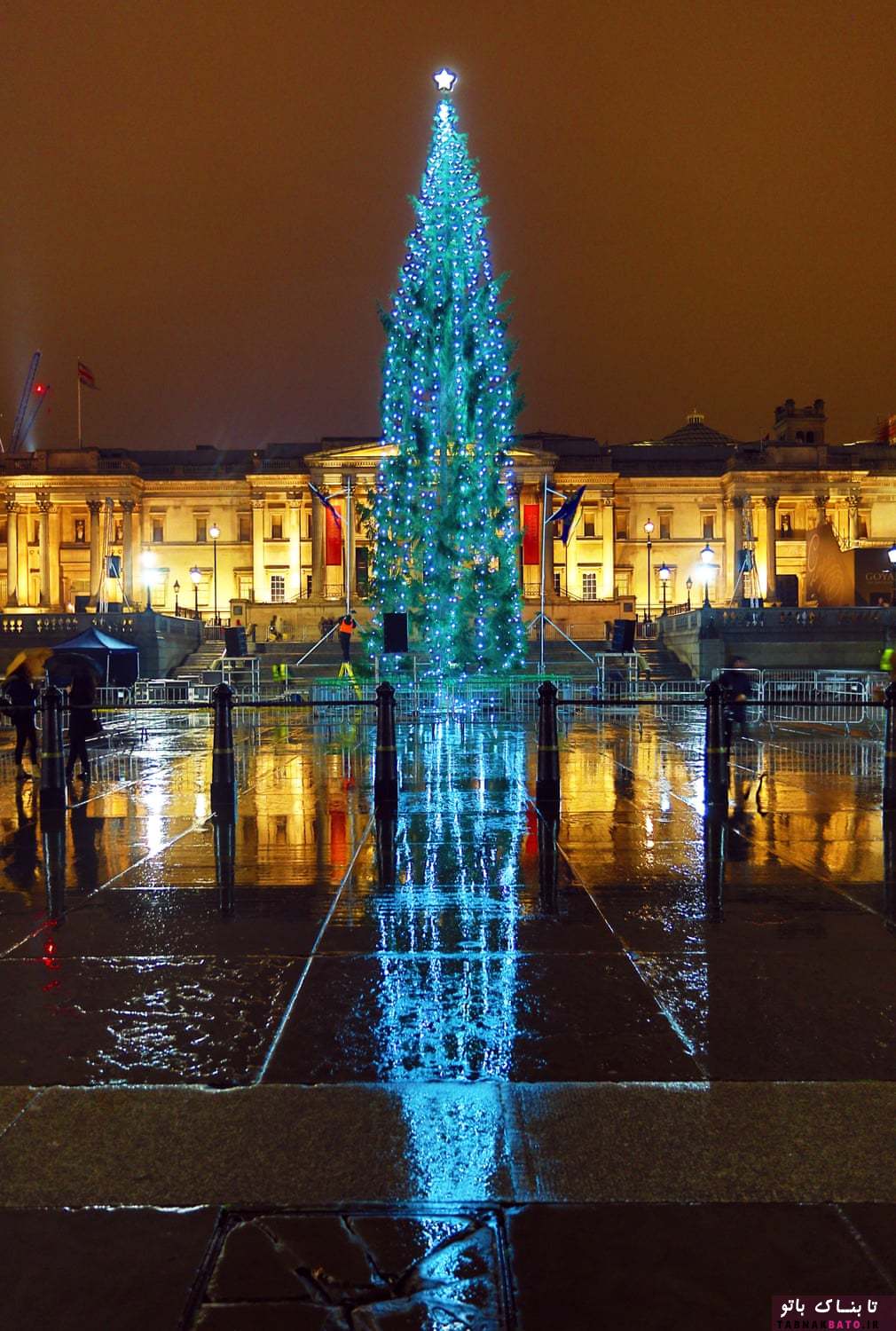 درختان کریسمس در اقصی نقاط جهان