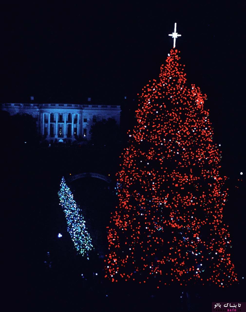 از نارنجی تا قرمز: درختان کریسمس کاخ سفید در طول زمان