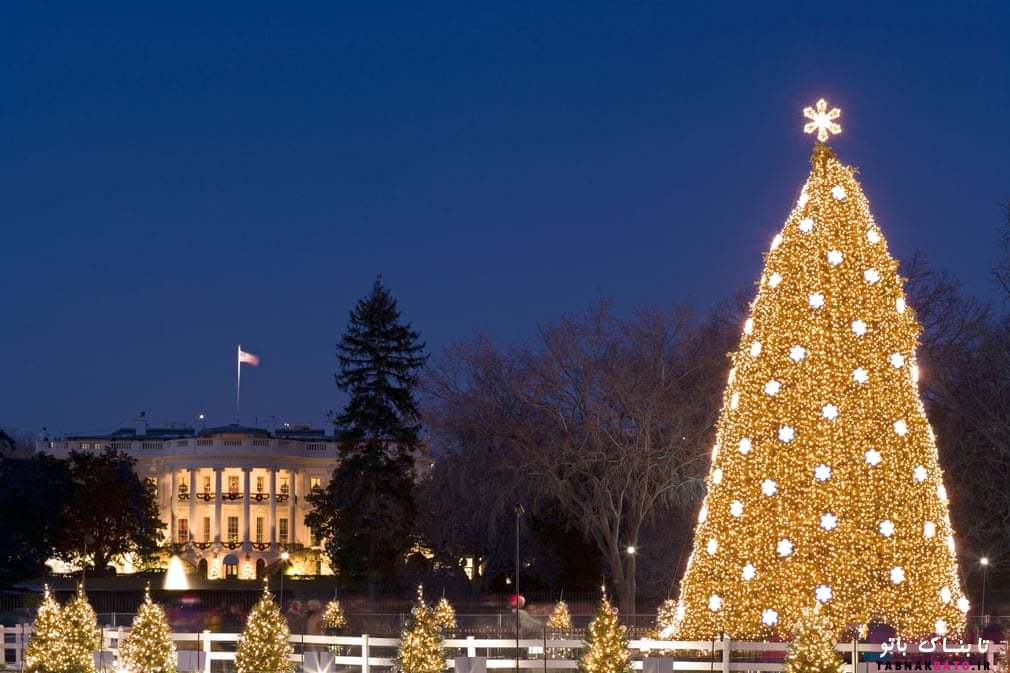 از نارنجی تا قرمز: درختان کریسمس کاخ سفید در طول زمان