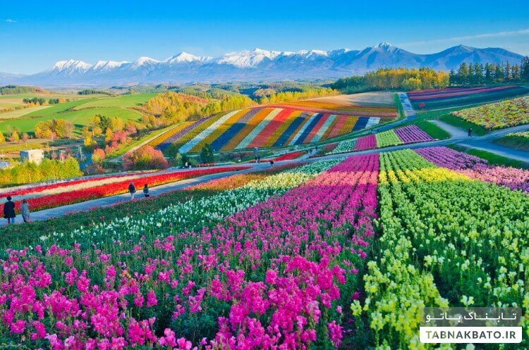 زیباترین مکان های رنگی در جهان