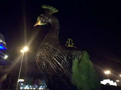 آتش گرفتن نماد طاووس دروازه قرآن شیراز