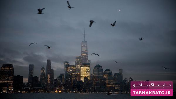 مرگبارترین شهر دنیا برای پرندگان