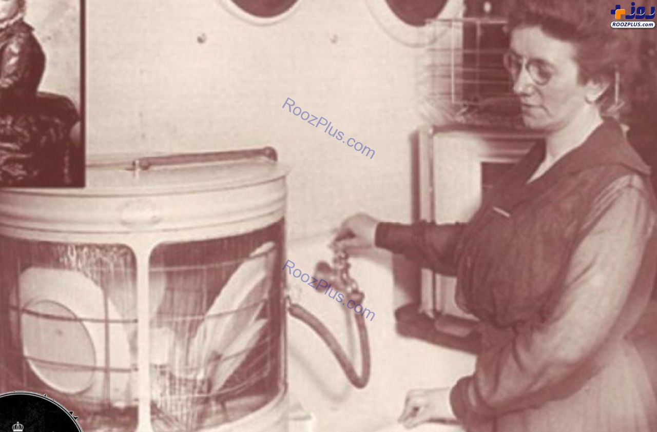 زنی که ماشین ظرفشویی را اختراع کرد+عکس