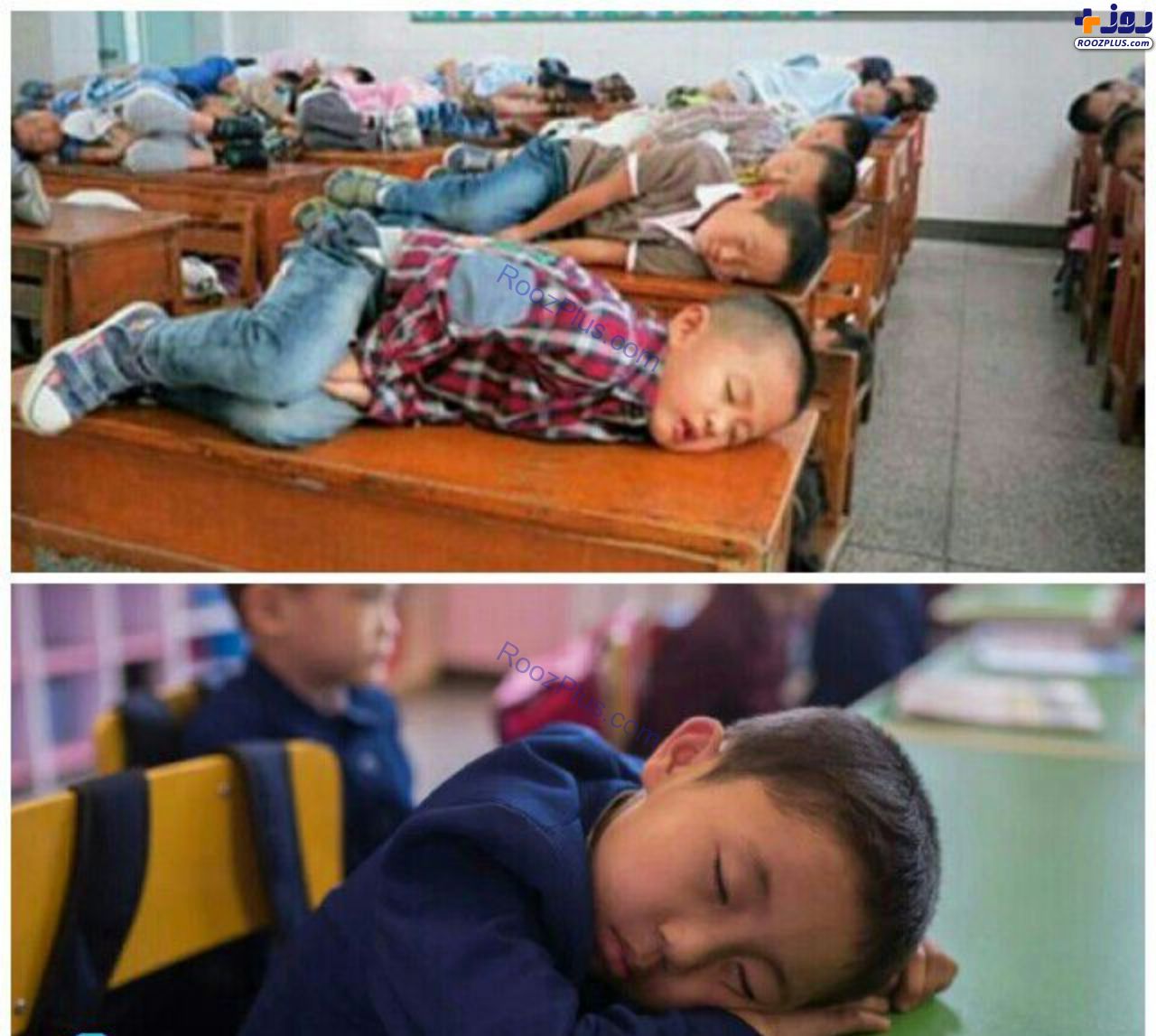 خواب دانش آموزان چینی در کلاس+عکس