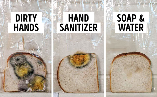 آزمایش جالبی که اهمیت شستن دست‌ها را نشان می‌دهد
