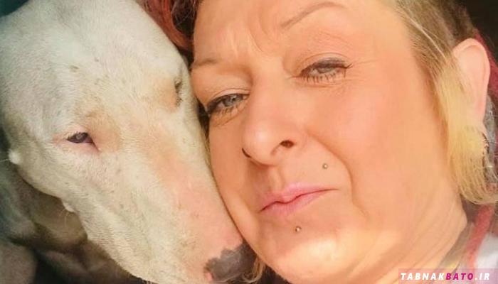 طلاق زن انگلیسی  برای زندگی با سگ‌ها!