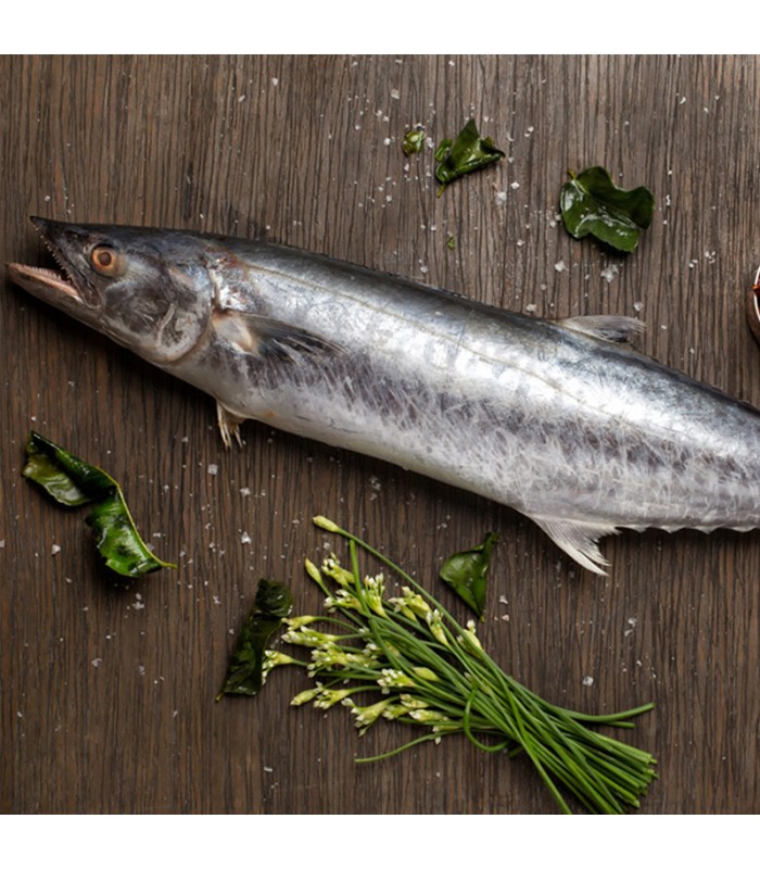 نکاتی در مورد خرید و پخت ماهی