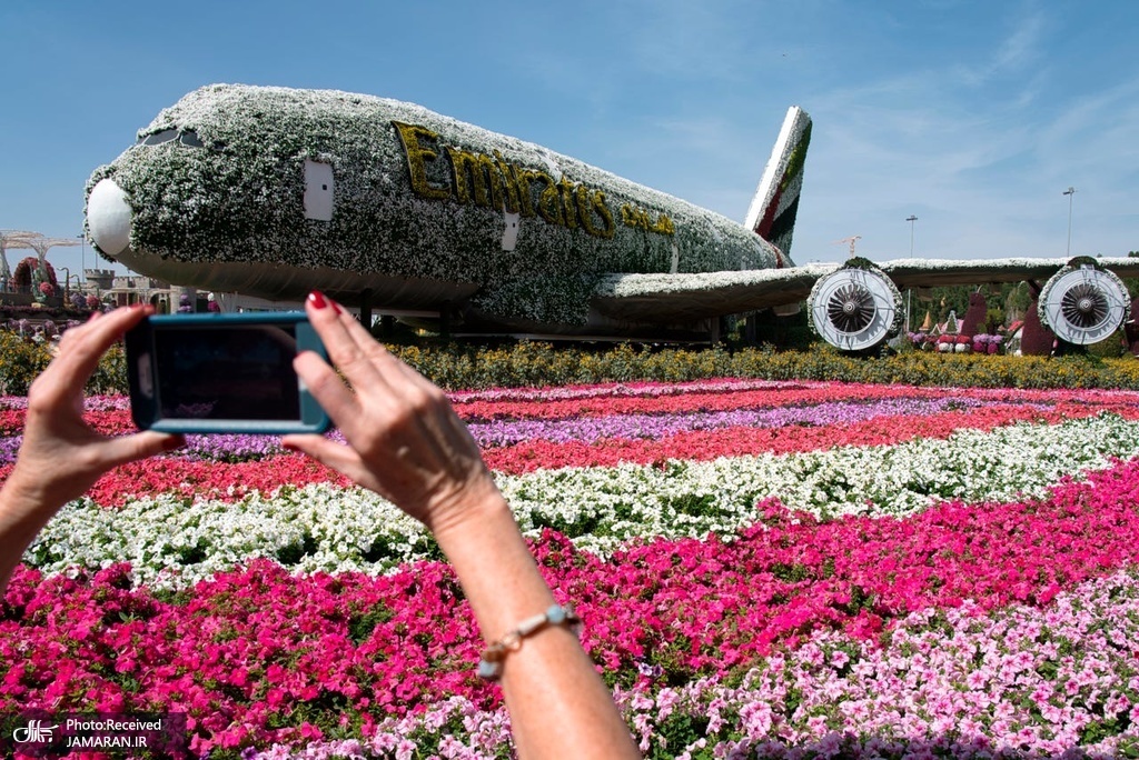 هواپیمای جت ایرباس پوشیده از گل + عکس