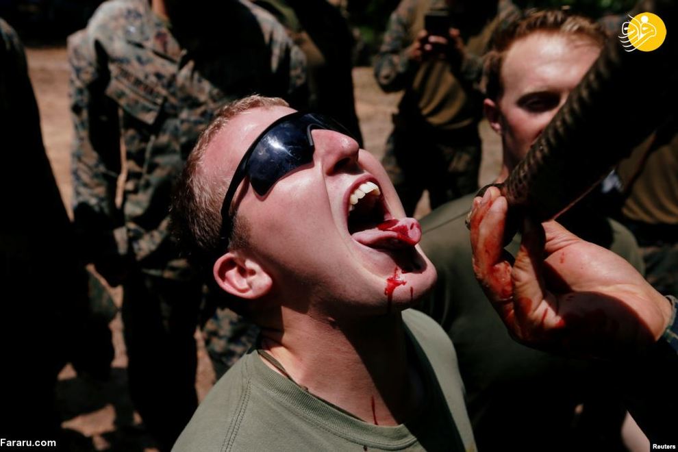 خوردن خون کبرا، عقرب و رتیل توسط سربازان آمریکایی