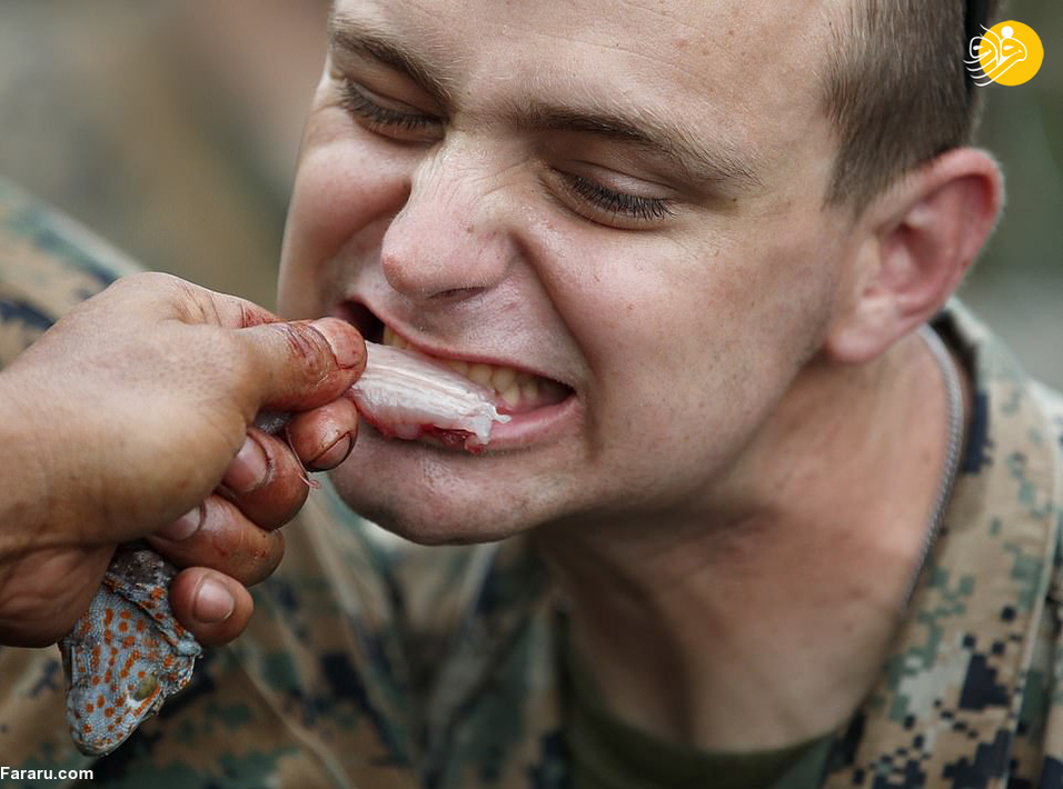 خوردن خون کبرا، عقرب و رتیل توسط سربازان آمریکایی