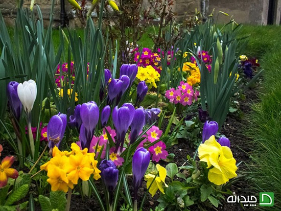 باغچه بهاری، حالا دیگه وقت حیاط تکونیه!