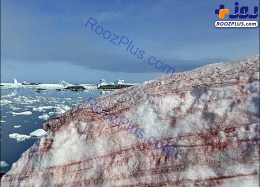 بارش برف هندوانه ای در قطب جنوب+تصاویر