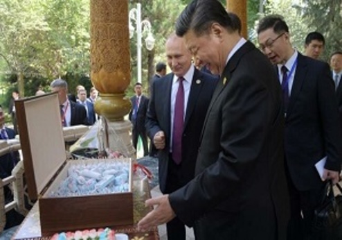 سورپرایز پوتین برای رئیس‌جمهور چین در روز تولدش +عکس