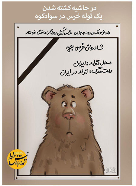 علت مرگ توله خرس؛ تولد در ایران+عکس
