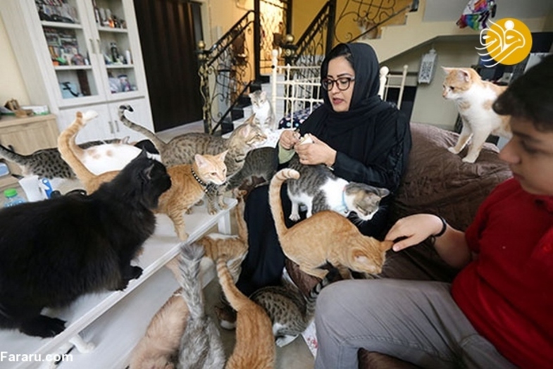 زنی که خانه‌اش پناهگاه گربه‌هاست +عکس