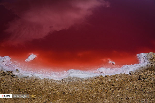 «کِشَندِ سرخ» در دریاچه مهارلو