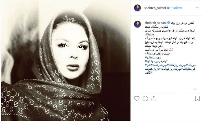 واکنش خشم‌آلود شهره سلطانی به مرگ توله‌خرس+عکس