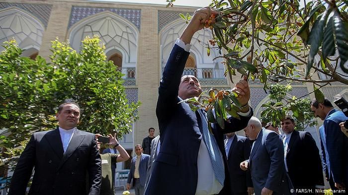 وزیر خارجه ترکیه در حال چیدن ازگیل در اصفهان +عکس