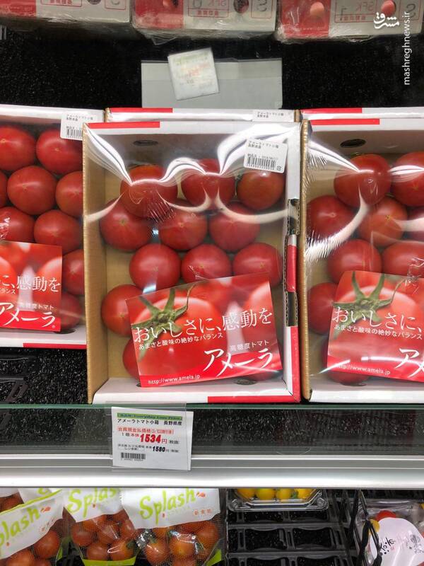 قیمت باورنکردنی میوه در ژاپن+عکس