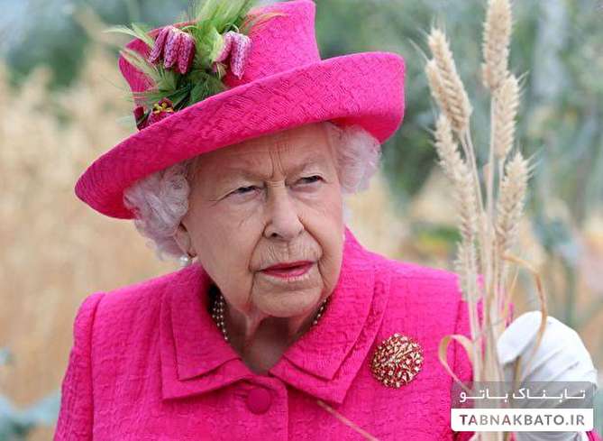 بیل زنی ملکه الیزابت ۹۳ ساله برای کاشت درخت