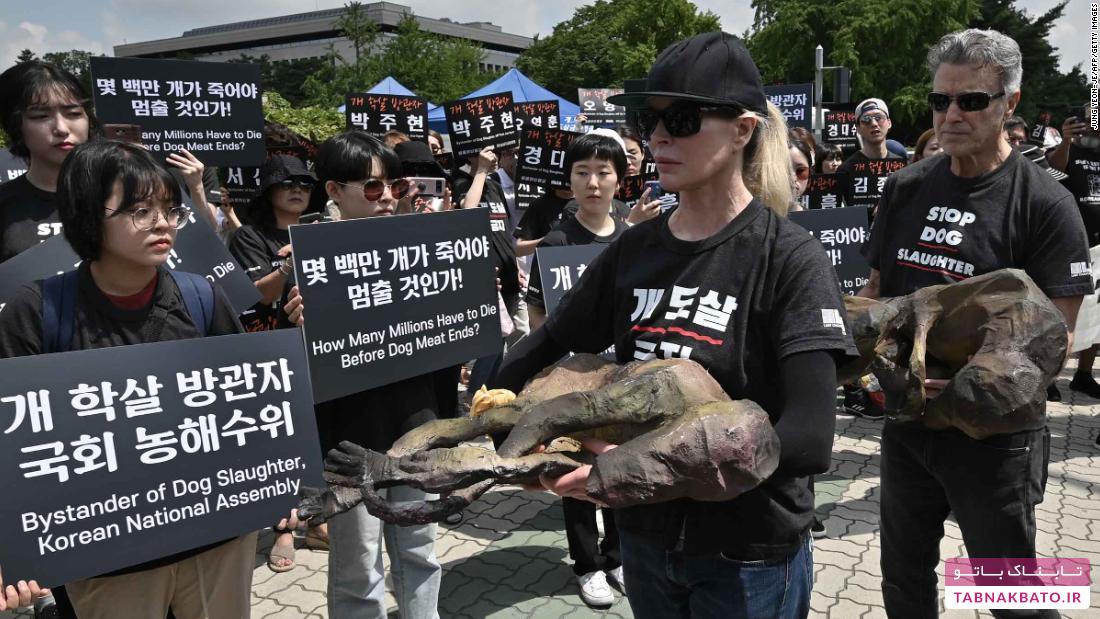 تظاهرات بازیگر آمریکایی علیه غذای کره‌ای
