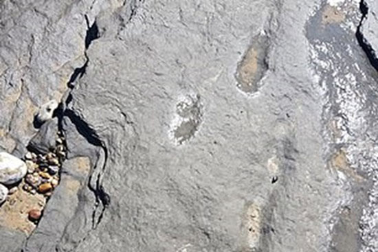 ردپای ۹۵۰هزار ساله انسان کشف شد+عکس