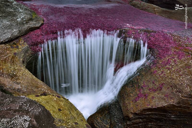رنگارنگ ترین رودخانه دنیا +تصاویر