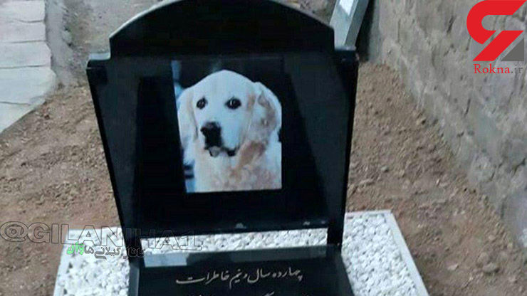 مراسم لاکچری برای خاکسپاری یک سگ در رشت +عکس